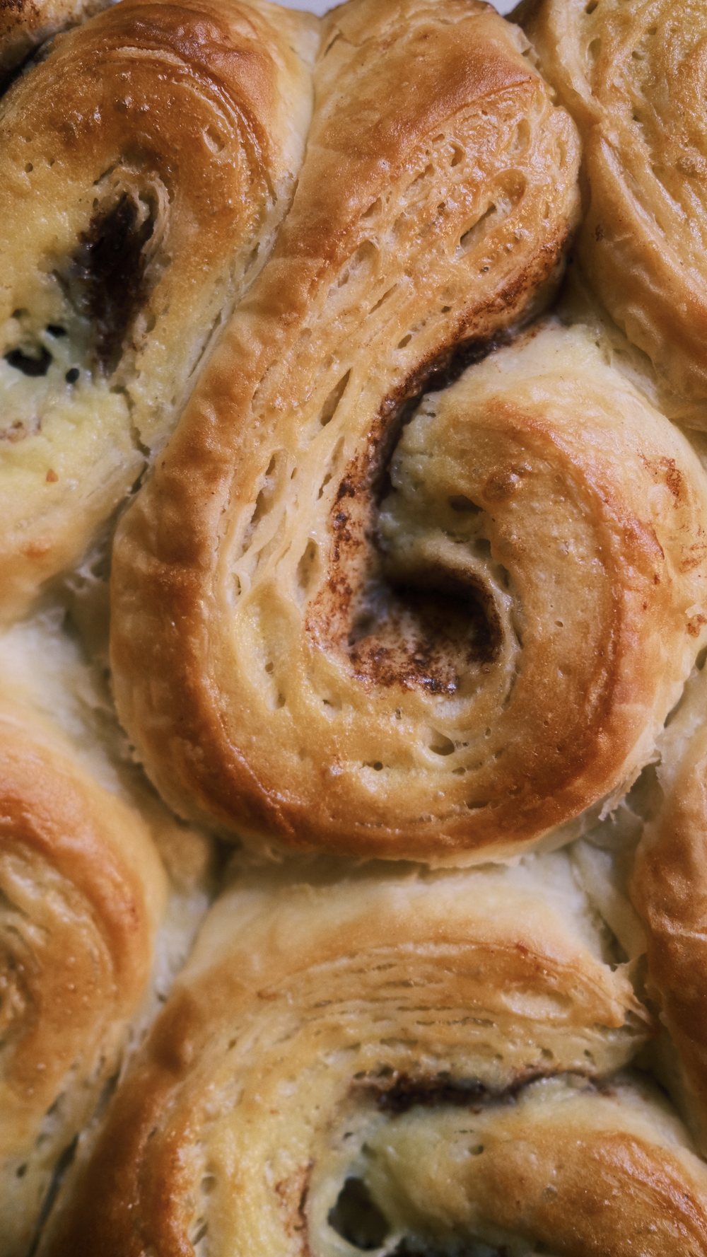 Swirled cinnamon rolls with vanilla cream cheese frosting